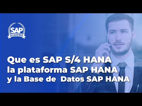 Que es SAP S/4HANA, la plataforma SAP HANA y la Base de Datos SAP HANA